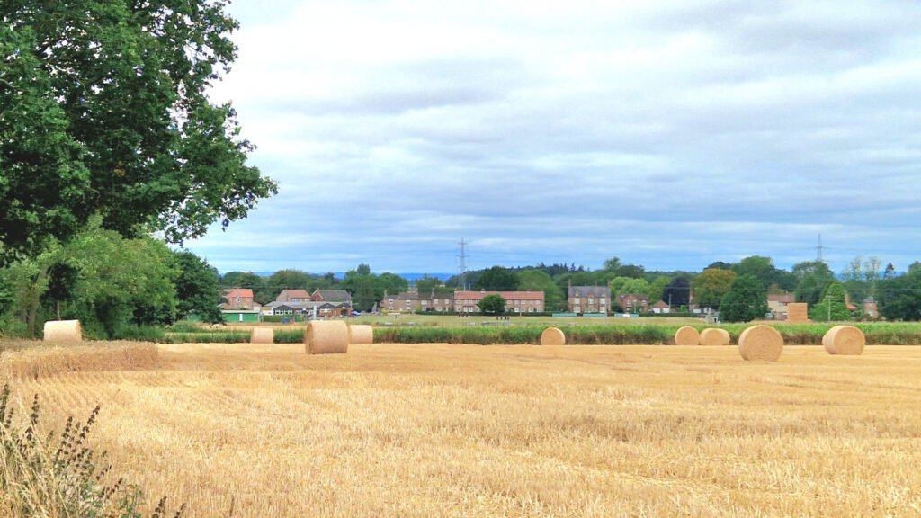 sessay from the east
